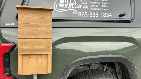 Custom bat house installation in Knoxville TN to support bat conservation after exclusion
