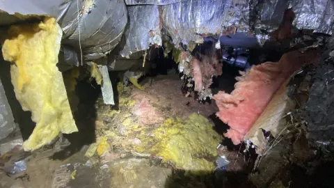 Home crawlspace in Knoxville TN showing entry points where wildlife commonly gain access
