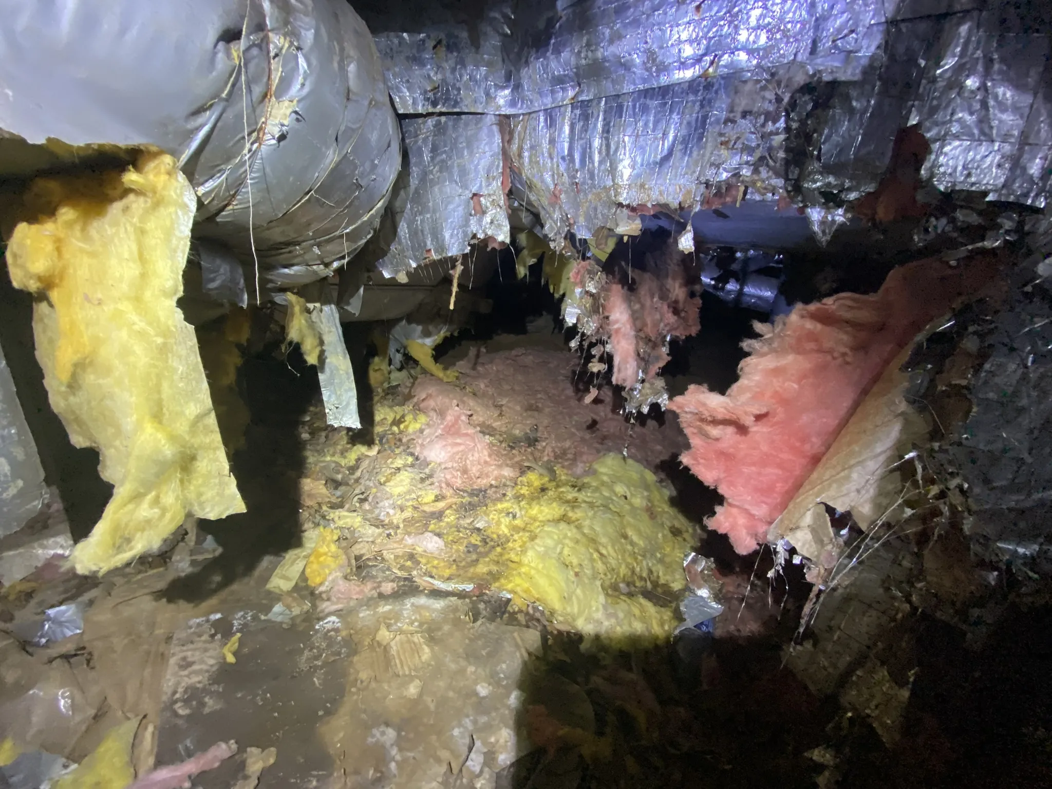 How to Keep Wildlife Out of Your Crawlspace